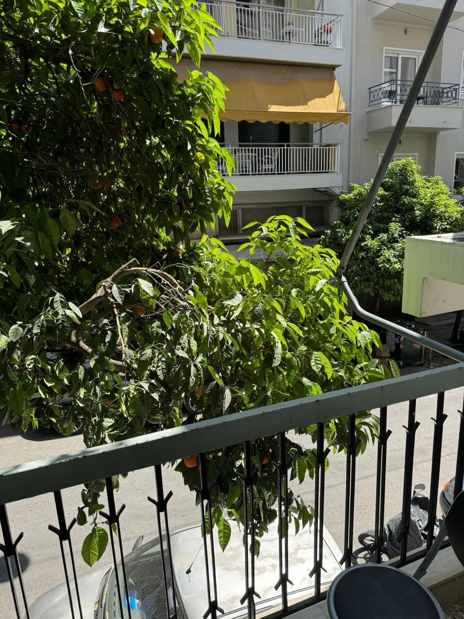 Cozy Apt Next To Acropolis Athene Buitenkant foto
